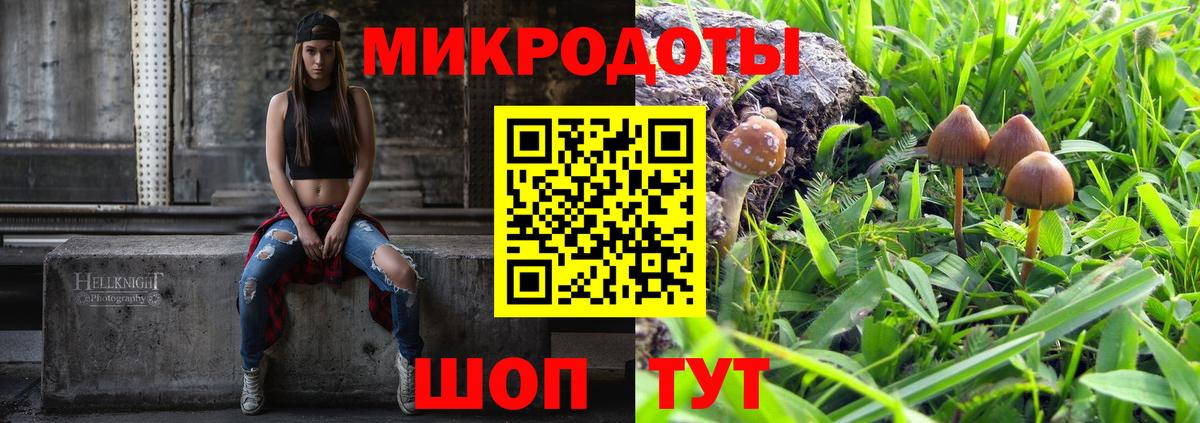 Советская Гавань  купить  цена  Вход с VPN  Галлюциногенные грибы Psilocybe 